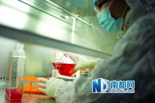 <p>&nbsp;&nbsp;&nbsp;&nbsp;免疫細胞被重懸到無血清培養基進行培養。</p>