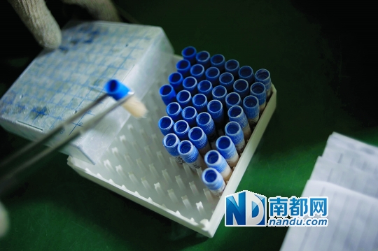 <p>&nbsp;&nbsp;&nbsp;&nbsp;當患者實施治療時，會提前14天通知實驗室，實驗員取出液氮罐里儲存的免疫細胞樣本進行培養。</p>