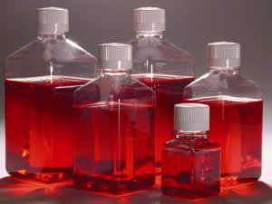 LONZA  X-VIVO 限定化學成分無血清造血細胞培養(yǎng)基